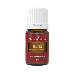 Aceite Esencial de Tea Tree (Árbol de Té)